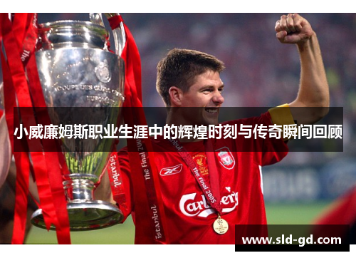 小威廉姆斯职业生涯中的辉煌时刻与传奇瞬间回顾