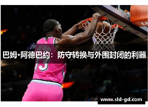 巴姆·阿德巴约：防守转换与外围封闭的利器