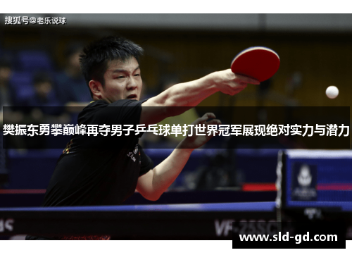 樊振东勇攀巅峰再夺男子乒乓球单打世界冠军展现绝对实力与潜力