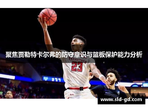 聚焦贾勒特卡尔弗的防守意识与篮板保护能力分析