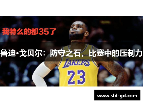 鲁迪·戈贝尔：防守之石，比赛中的压制力