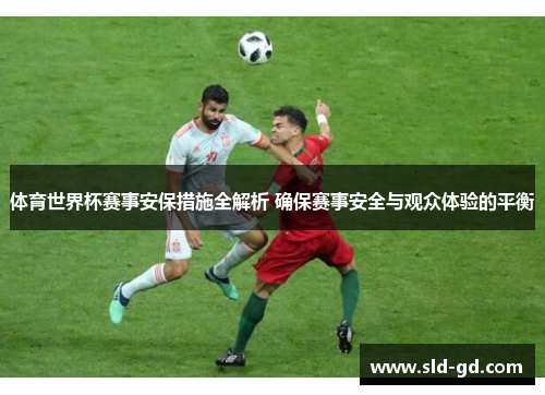体育世界杯赛事安保措施全解析 确保赛事安全与观众体验的平衡