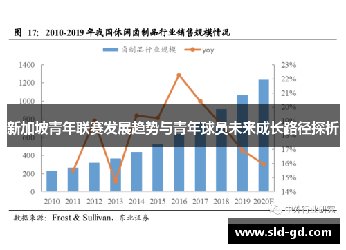 新加坡青年联赛发展趋势与青年球员未来成长路径探析