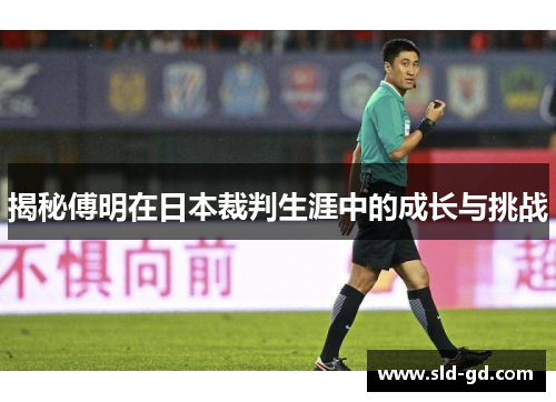 揭秘傅明在日本裁判生涯中的成长与挑战