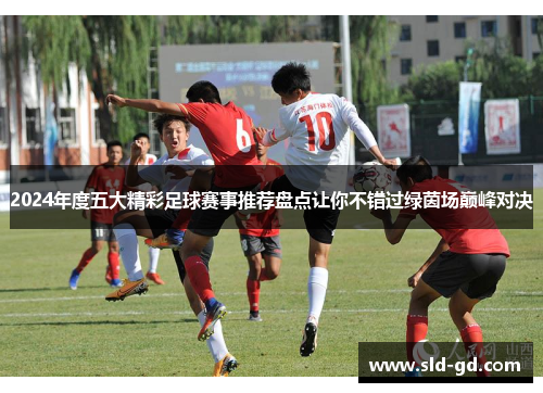 2024年度五大精彩足球赛事推荐盘点让你不错过绿茵场巅峰对决