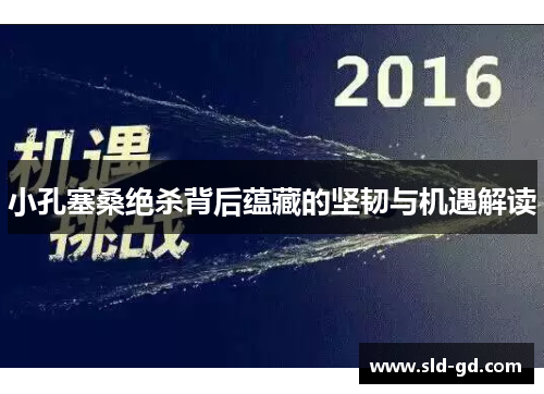 小孔塞桑绝杀背后蕴藏的坚韧与机遇解读