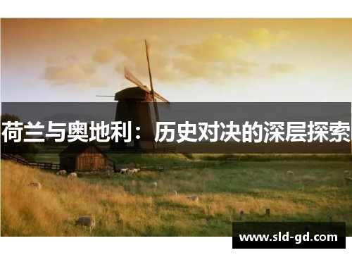 荷兰与奥地利：历史对决的深层探索