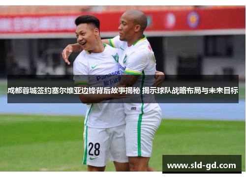 成都蓉城签约塞尔维亚边锋背后故事揭秘 揭示球队战略布局与未来目标